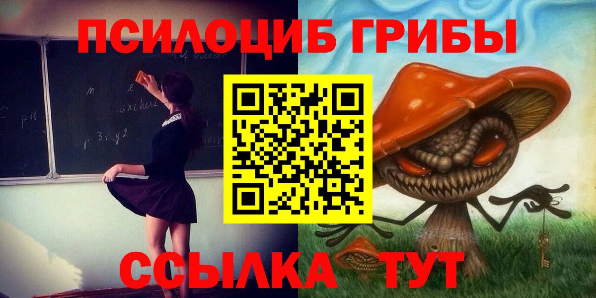 Галлюциногенные грибы Cubensis Гусев